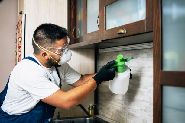 Best Pest Prevention Services  in Haddon Heights, NJ