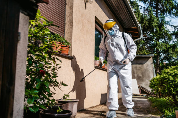 Best Pest Control Near Me  in Haddon Heights, NJ