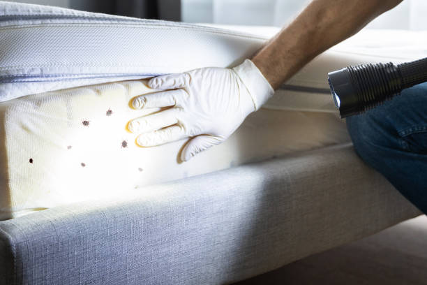 Best Best Pest Control Companies  in Haddon Heights, NJ